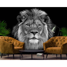 Fotobehang van een leeuw in het wild, geschikt voor de woonkamer.