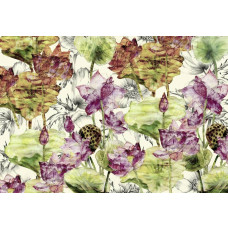 Lotusbloem fotobehang met delicate bloemen in een kunstzinnig en abstract ontwerp, ideaal voor rustgevende ruimtes.