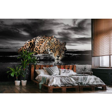 Een fotobehang met een luipaard, panter, jachtluipaard, cheetah en jaguar in een serene slaapkamer.