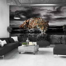 Een fotobehang met een luipaard, panter, jachtluipaard, cheetah en jaguar, geschikt voor een stijlvolle woonkamer.