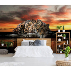 Een fotobehang met een luipaard en panter in jachtpositie met een cheetah en jaguar voor de slaapkamer.