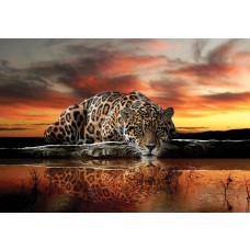 Fotobehang met luipaard, jachtluipaard en cheetah voor een avontuurlijk effect.