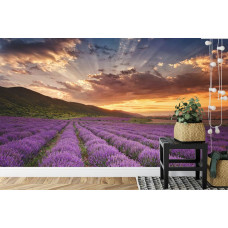 Een fotobehang met een schilderachtig lavendelveld bij zonsondergang, afgebeeld in een huiskamer.