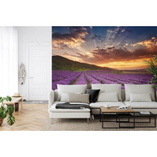 Een fotobehang met een zonsondergang boven een lavendelveld, afgebeeld in een slaapkamer en woonkamer.