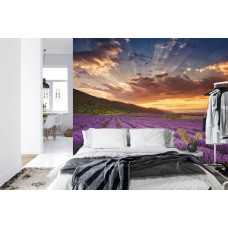 Een fotobehang met een lavendelveld in warme avondkleuren, afgebeeld in een slaapkamer.