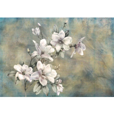 Vintage fotobehang met een schilderij van een magnolia bloem, in een retro stijl.