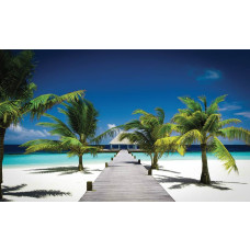 Fotobehang van een tropisch strand op de Malediven met palmbomen en een houten pier die de turquoise zee insteekt.