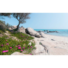 Mediterrane dromen strand fotobehang, perfect voor een tropische sfeer.