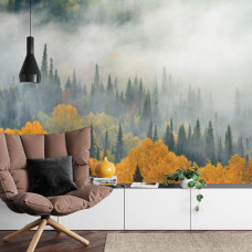Een fotobehang met een mistig boslandschap in herfstkleuren, afgebeeld in een huiskamer.