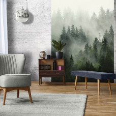 Een fotobehang met een mistig boslandschap voor de huiskamer.