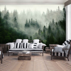 Een fotobehang met een mistig boslandschap voor de woonkamer.
