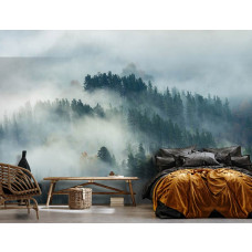 Een fotobehang met een mysterieus bos in de mist, geschikt voor zowel een woonkamer als een slaapkamer.