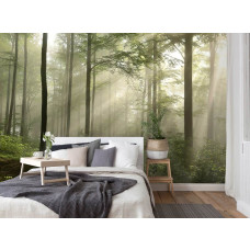 Fotobehang van een ochtendbos met zonnestralen en nevel, aangebracht in een sfeervolle slaapkamer.