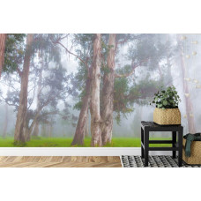Een sfeervol fotobehang van een mistig bos vol natuurlijke elementen, ideaal voor een slaapkamer.