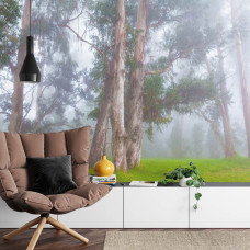 Een mistig boslandschap met bomen en natuur, vastgelegd op fotobehang, perfect voor een woonkamer.