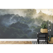 Een fotobehang met een mistig boslandschap vol bomen, afgebeeld in een huiskamer.
