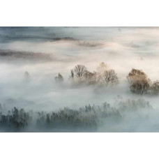 Fotobehang Misty Morning. Misty Morning.