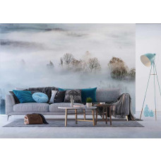 Fotobehang Misty Morning. Misty Morning.