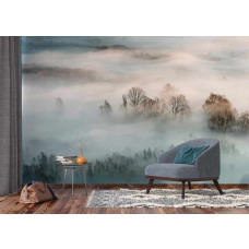 Fotobehang Misty Morning. Misty Morning.