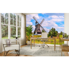 Fotobehang Molen in de Lente in een kantoor met inspirerende en frisse omgeving.