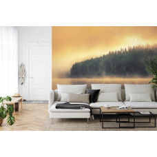 Een mysterieus fotobehang van een bos aan de rand van een mistig meer, perfect voor een huiskamer.