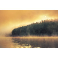 Fotobehang van een mysterieus bos aan de rand van een meer, waar dichte mist het landschap bedekt.
