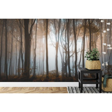 Een fotobehang met een sfeervol boslandschap waarin dikke boomstammen en schaduwen de toon zetten, ideaal voor een woonkamer.