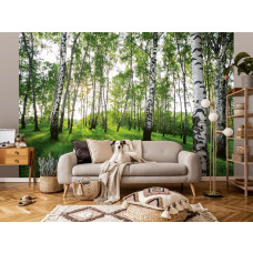 Een fotobehang van een mystiek berkenbos met natuurlijke elementen in een woonkamer.