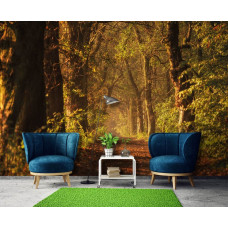 Fotobehang met een bospad tussen hoge bomen dat eindeloos lijkt door te gaan, met een tunnelachtig effect dat een indrukwekkend 3D-perspectief creëert in de bedrijfsruimte.