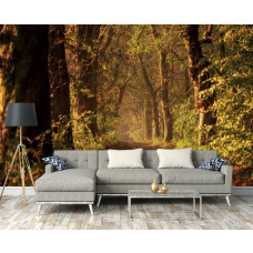 Een woonkamer met een fotobehang met een bospad tussen hoge bomen dat eindeloos lijkt door te gaan, met een tunnelachtig effect dat een indrukwekkend 3D-perspectief creëert.