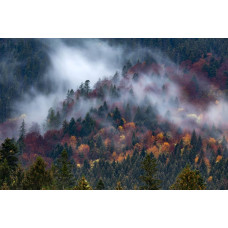 Een nevelige bergoase met mist die het bos en de bergen bedekt, vastgelegd op een natuurgetrouw fotobehang.