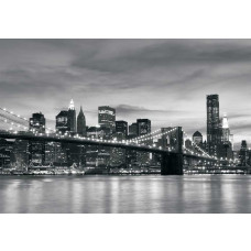 New York brug fotobehang, met een stedelijk en modern stadsbeeld van een iconische brug in de VS.