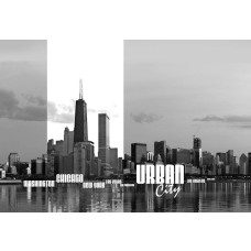 New York en Chicago skyline fotobehang, met een weergave van iconische stedelijke uitzichten, perfect voor een moderne ruimte.