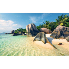 Oceaan parel palmbomen strand fotobehang, ideaal voor een tropische kamer.