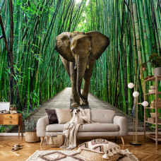 Een fotobehang van een olifant in een jungle met bamboe in een gezellige huiskamer.