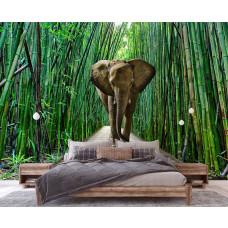 Een fotobehang van een olifant in een jungle met bamboe in een rustgevende slaapkamer.