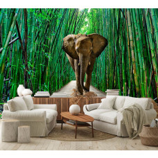 Een fotobehang van een olifant in een jungle met bamboe in vliesbehangstijl voor een woonkamer.