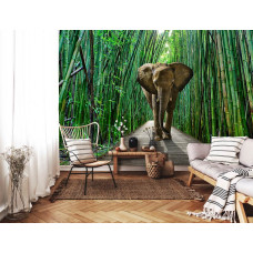 Een fotobehang van een olifant in een jungle met bamboe in een sfeervolle woonkamer.