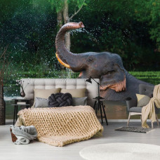 Fotobehang Olifant in het water, met een olifant die speelt in het water en spetters veroorzaakt door het zwaaien met zijn slurf in een slaapkamer.