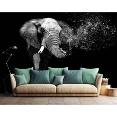 Een fotobehang met een olifant tegen een zwarte achtergrond, perfect voor een stijlvolle huiskamer.