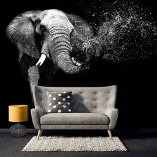 Een fotobehang met een olifant tegen een zwarte achtergrond, ideaal voor een serene slaapkamer.