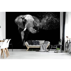 Een fotobehang met een olifant tegen een zwarte achtergrond, geschikt voor een moderne woonkamer.