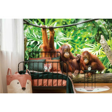 Een fotobehang van orang-oetans in een jungle, perfect voor een kinderkamer.