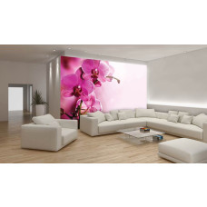 Een fotobehang met roze orchideeėn en groene bladeren.