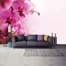 Een fotobehang met roze orchideeėn tegen een neutrale achtergrond.