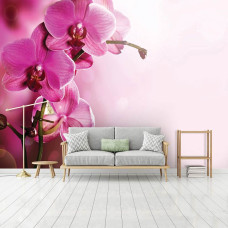 Een fotobehang van roze orchideeėn in de woonkamer.