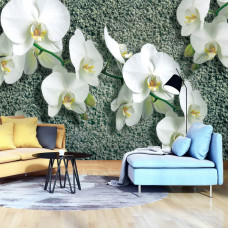 Een fotobehang met orchideeėn en een subtiele betonachtergrond voor een natuurlijke sfeer.