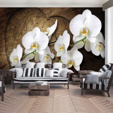 Een fotobehang met witte orchideeėn in een serene omgeving, geschikt voor een slaapkamer en huiskamer.