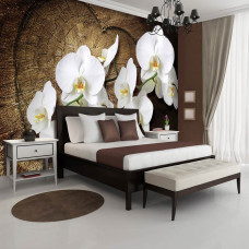 Een fotobehang van orchideeėnbloemen met een natuurlijke uitstraling voor een bed.