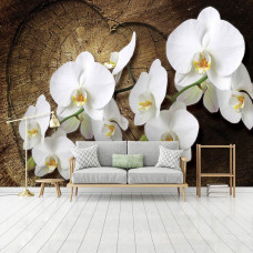 Een fotobehang met orchideeėnbloemen in een natuurlijke setting, ideaal voor een slaapkamer of woonkamer.